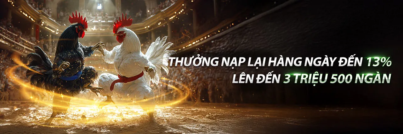 Hình ảnh đá gà trực tuyến tại abcvip nhà cái